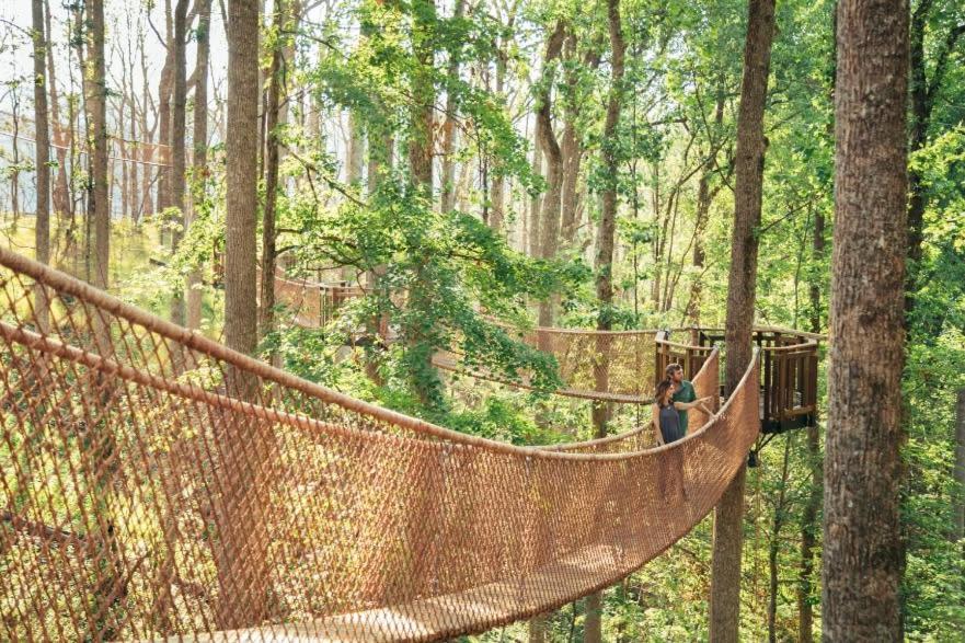 Romantic A-Frame Private Hottub Firepit Neargsmnp Sevierville Luaran gambar